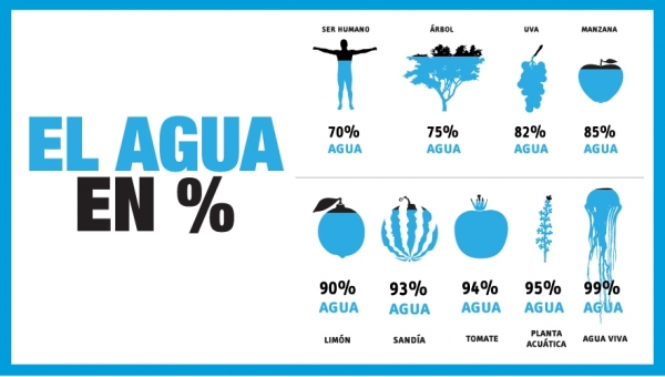 Distribución de agua